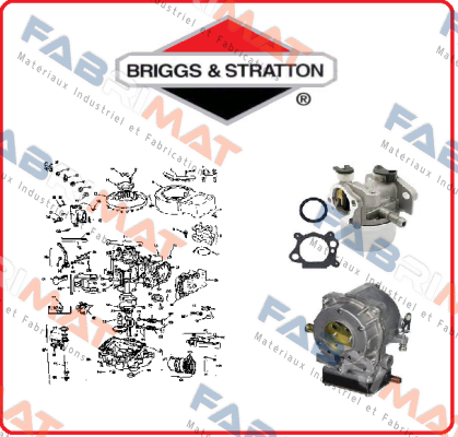 Briggs-Stratton