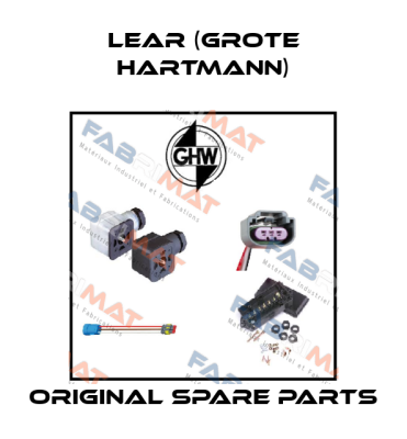 Lear (Grote Hartmann)