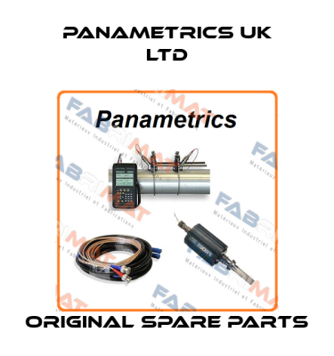 PANAMETRICS UK LTD