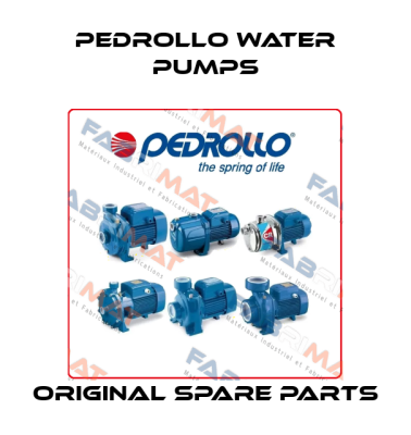 Pedrollo Water Pumps
