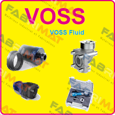 033799  Voss