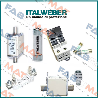 0106250  Italweber