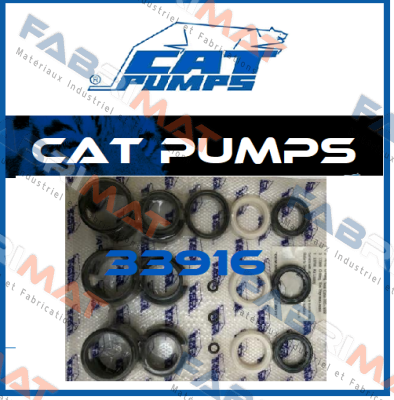 33916 Cat Pumps