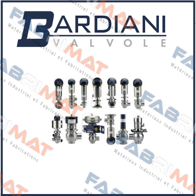 BBZK DN65-l SS VITON 316 LIN SE NO  Bardiani Valvole