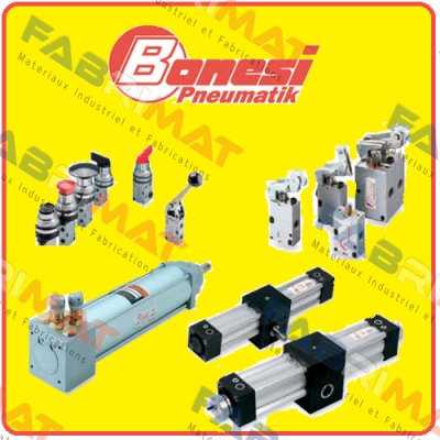 CUD 0200025A  Bonesi Pneumatic