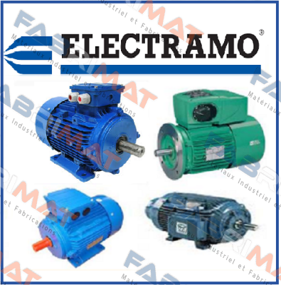 IEC34-1  Electramo