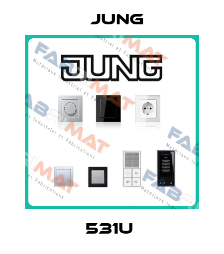 531U  Jung