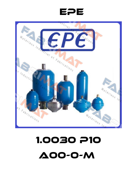 1.0030 P10 A00-0-M  Epe