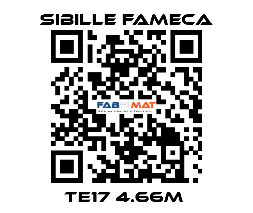 TE17 4.66M  Sibille Fameca