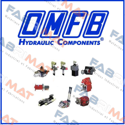 MPLH-10 SAE customized  OMFB Hydraulic