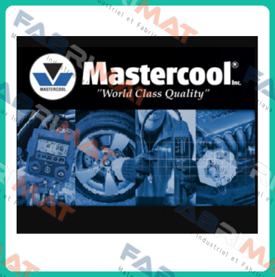 41602  Mastercool Inc