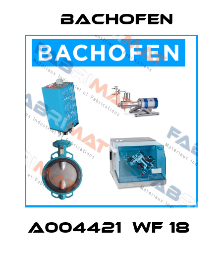 A004421  WF 18  Bachofen