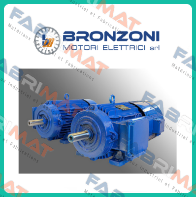 240M1403A1100.I E2 Bronzoni