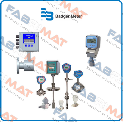 BADGEMETER4TL Badger Meter