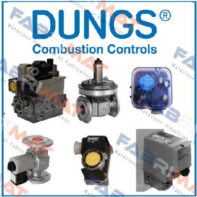 BCS 301 GAS CONTROL UNIT Dungs