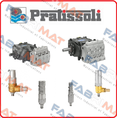 VRET3060101A ITEM NO:5  Pratissoli