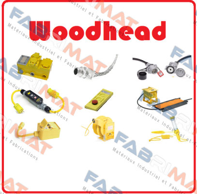 103001I30M030 / 1 box = 10 pcs  Woodhead