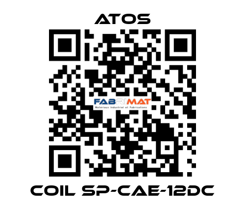Coil SP-CAE-12DC Atos