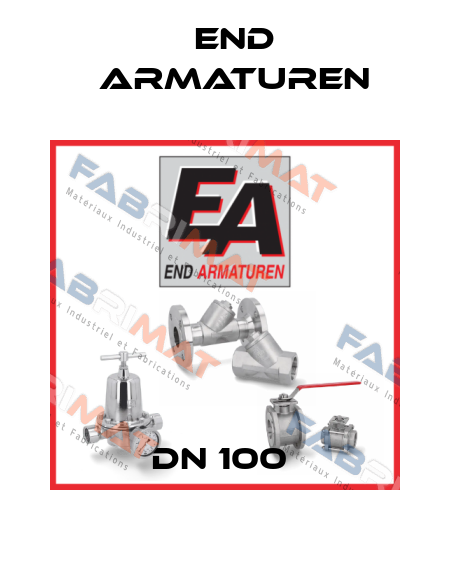 DN 100  End Armaturen