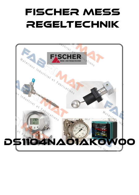 DS1104NA01AK0W00  Fischer Mess Regeltechnik