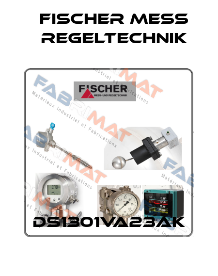 DS1301VA23AK Fischer Mess Regeltechnik