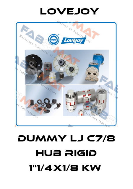 DUMMY LJ C7/8 HUB RIGID 1"1/4X1/8 KW  Lovejoy