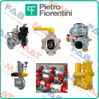 F.I.O. 2 Gas Pressure Regulator Smart add-on  Pietro Fiorentini