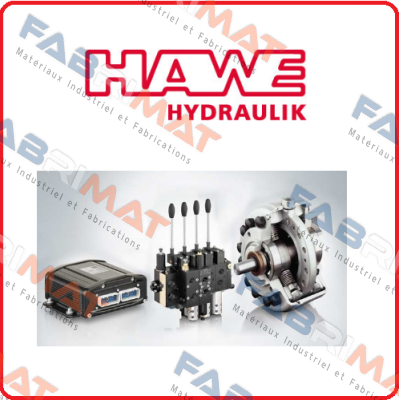 EM 22 V-3/8”-G 24-PYD  Hawe