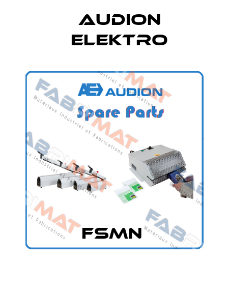 FSMN  Audion Elektro