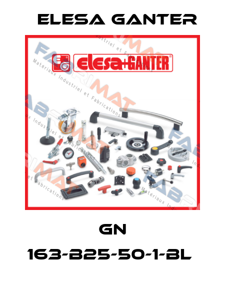 GN 163-B25-50-1-BL  Elesa Ganter