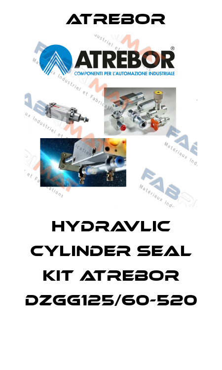 HYDRAVLIC CYLINDER SEAL KIT ATREBOR DZGG125/60-520  Atrebor