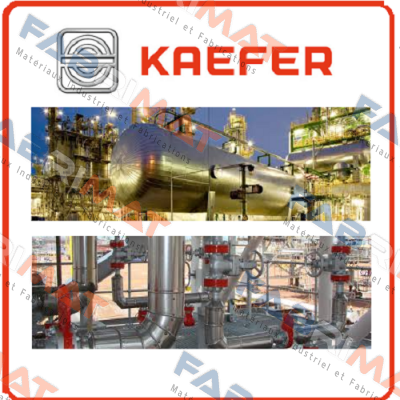 573/12-10 H  Kaefer