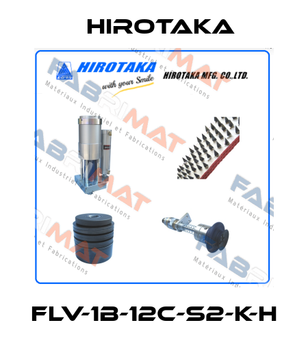 FLV-1B-12C-S2-K-H Hirotaka