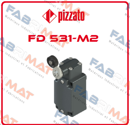 FD 531-M2 Pizzato Elettrica