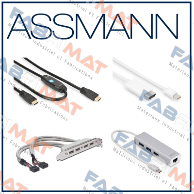 P/N: Gigabit Medienkonverter, Type: RJ45 / ST Assmann