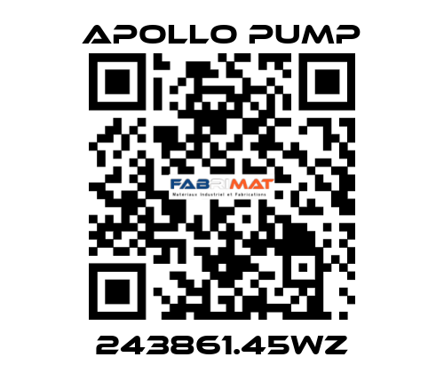 243861.45WZ Apollo pump