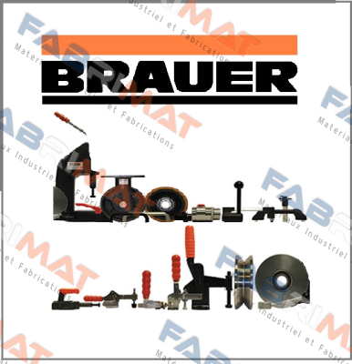 MS 12100 Brauer