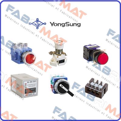 S125L-220-R , 2X8  YongSung Electric