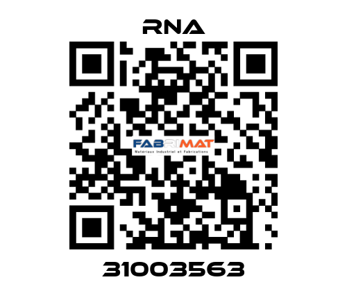 31003563 RNA