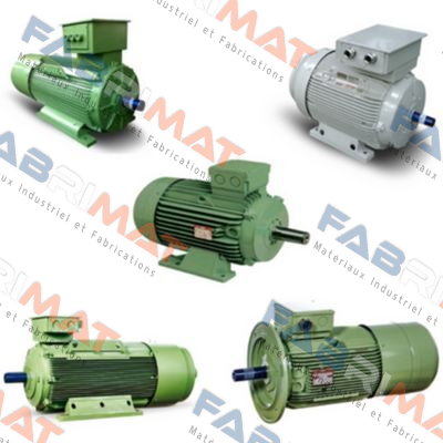 AC MOTOR 1HM-1 280 S4 Fimet