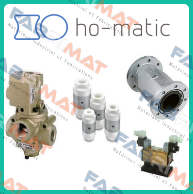 11025.000.004 DN 25 Ho-Matic AG