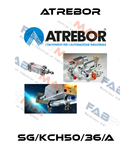 SG/KCH50/36/A  Atrebor
