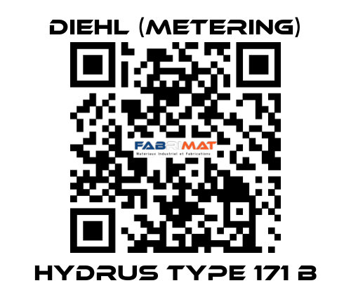 Hydrus Type 171 B Diehl (Metering)