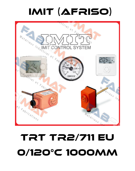 TRT TR2/711 EU 0/120°C 1000mm IMIT (Afriso)
