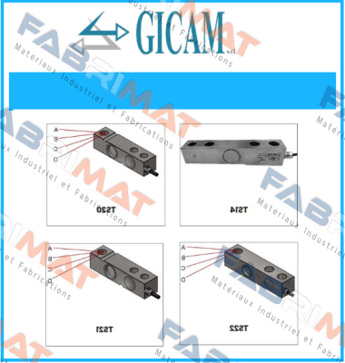 TS 15 350 OHM  Gicam