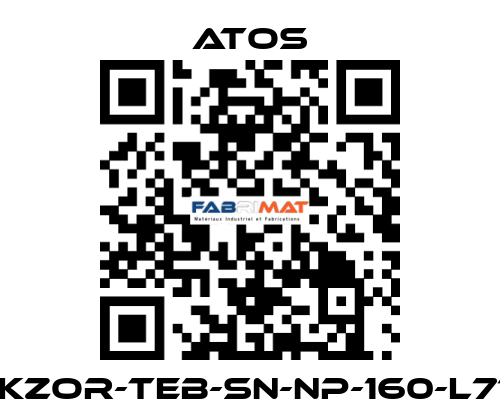 DLKZOR-TEB-SN-NP-160-L71/Q Atos