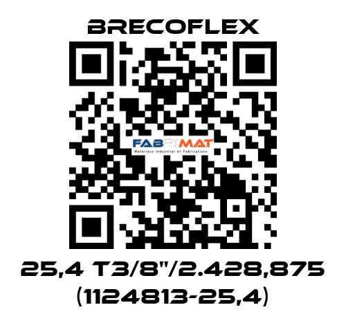 25,4 T3/8"/2.428,875 (1124813-25,4) Brecoflex