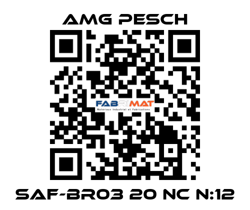 SAF-BR03 20 NC n:12 AMG Pesch