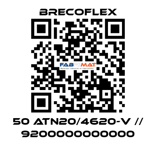 50 ATN20/4620-V // 9200000000000 Brecoflex