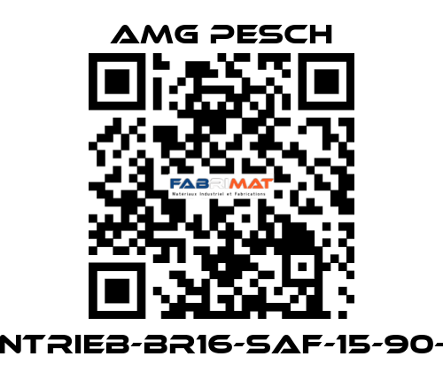 AMG-Antrieb-BR16-SAF-15-90-01-n=12 AMG Pesch